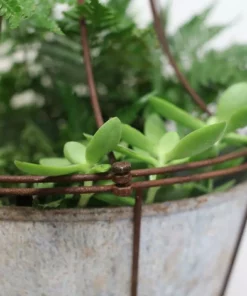 Nkuku Planters & Vases Abari Caged Hanging Planter