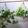 Nkuku Abari Round Hanging Planter