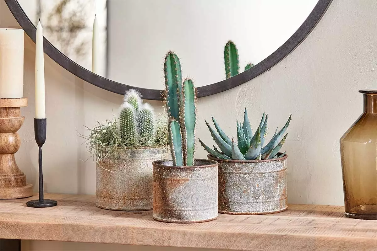 Nkuku Home Accessories Abari Straight Pot 3 Nkuku Home Accessories Abari Straight Pot