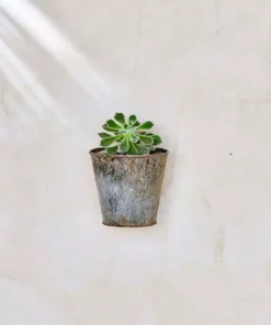 Nkuku Abari Wall Hung Planter Single Planters & Vases