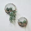 Nkuku Api Wall Hung Planter - Round Home Accessories 2 Nkuku Api Wall Hung Planter - Round Home Accessories