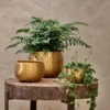 Nkuku Atsu Brass Planter 2 Nkuku Atsu Brass Planter