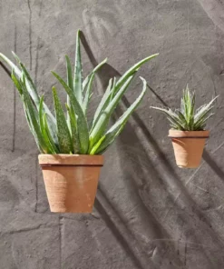 Nkuku Jara Single Wall Hung Planter Planters & Vases