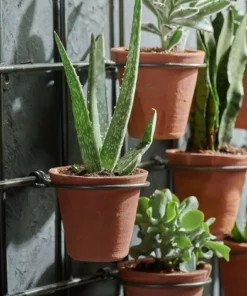 Nkuku Jara Terracotta Wall Hung Planter