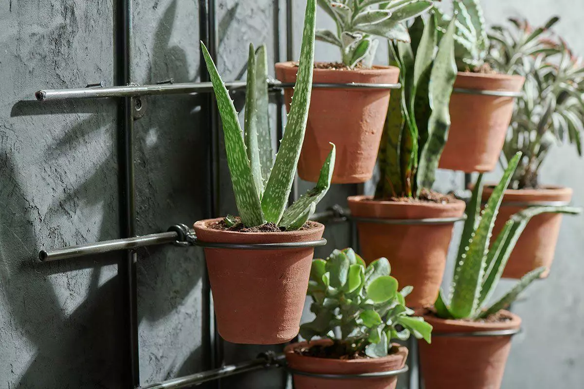 Nkuku Jara Terracotta Wall Hung Planter 4 Nkuku Jara Terracotta Wall Hung Planter