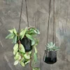 Nkuku Kavari Ceramic Hanging Planter Planters & Vases