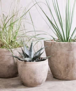 Nkuku Large Affiti Clay Planter