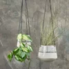 Nkuku Matamba Ceramic Hanging Planter - Match