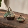 Nkuku Home Accessories Mina Hanging Terrarium