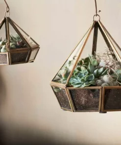 Nkuku Home Accessories Mina Hanging Terrarium