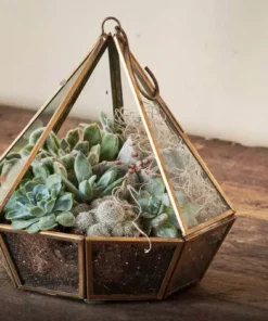 Nkuku Home Accessories Mina Hanging Terrarium