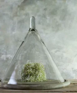 Nkuku Serveware Recycled Glass Conical Dome
