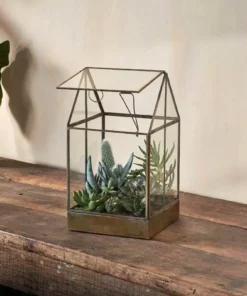 Nkuku Sampara Terrarium - Tall Planters & Vases
