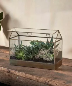 Nkuku Sampara Terrarium - Wide
