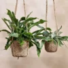 Nkuku Sangdi Seagrass Hanging Planter