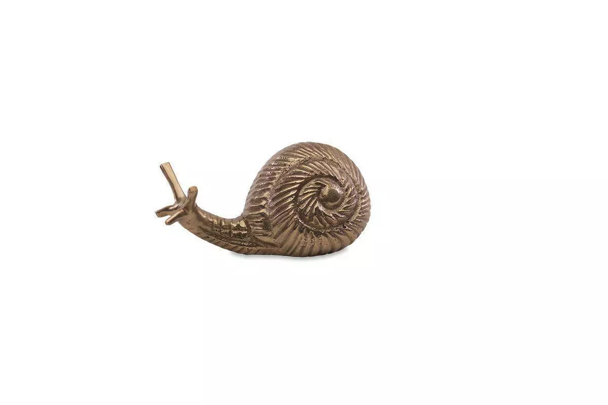 Nkuku Snail Paper Weight Home Accessories 6 Nkuku Snail Paper Weight Home Accessories