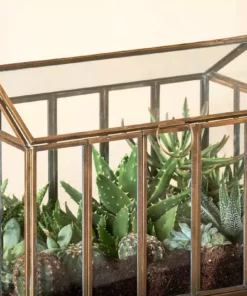 Nkuku Home Accessories Telaga Terrarium - Large