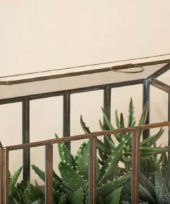 Nkuku Home Accessories Telaga Terrarium - Large