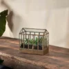 Nkuku Home Accessories Telaga Terrarium - Small 2 Nkuku Home Accessories Telaga Terrarium - Small
