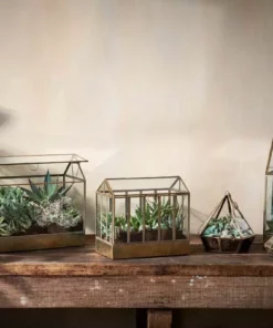 Nkuku Home Accessories Telaga Terrarium - Small