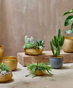 Nkuku Home Accessories Tembesi Etched Planter - Antique Brass