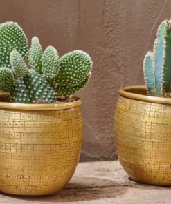 Nkuku Tembesi Etched Planter - Antique Brass (Set Of 2)