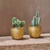 Nkuku Tembesi Etched Planter - Antique Brass (Set Of 2)