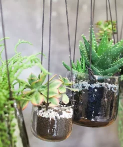 Nkuku Viri Hanging Planter - Clear Home Accessories