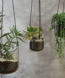 Nkuku Viri Hanging Planter - Clear Home Accessories