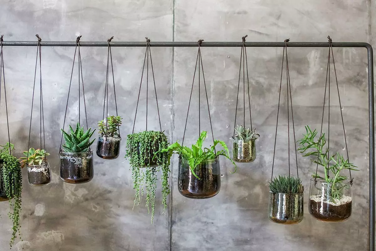 Nkuku Viri Hanging Planter - Clear Home Accessories 5 Nkuku Viri Hanging Planter - Clear Home Accessories