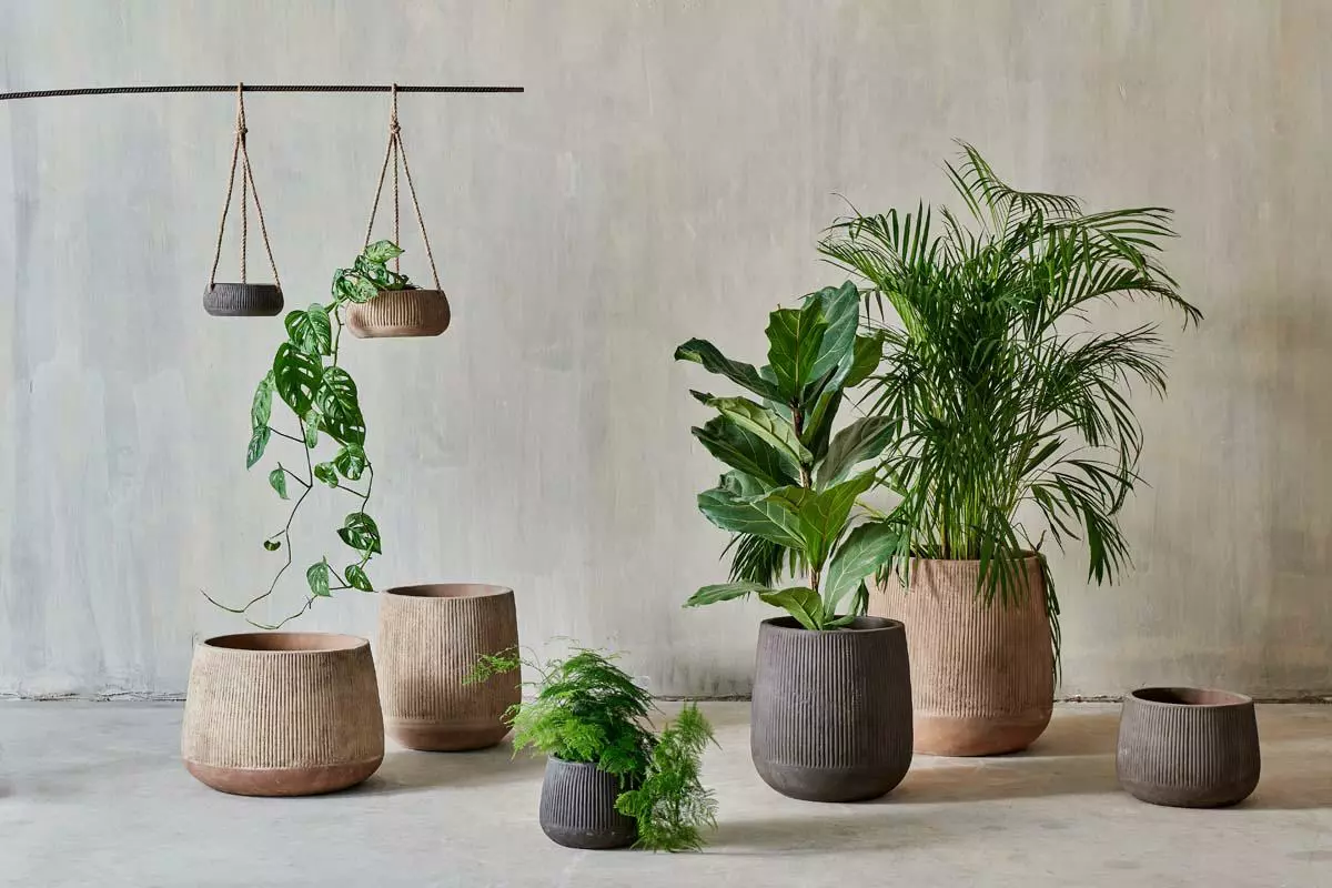 Nkuku Home Accessories Wampu Hanging Planter - Distressed Terracotta 7 Nkuku Home Accessories Wampu Hanging Planter - Distressed Terracotta