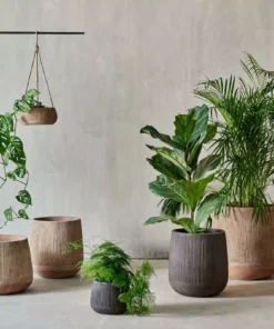 Nkuku Planters & Vases Wampu Tall Planter - Distressed Terracotta