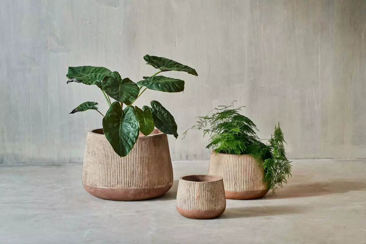 Nkuku Wampu Wide Planter - Distressed Terracotta Planters & Vases 3 Nkuku Wampu Wide Planter - Distressed Terracotta Planters & Vases